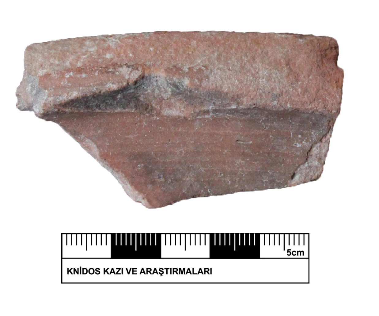 Roman Period Ceramic #2372