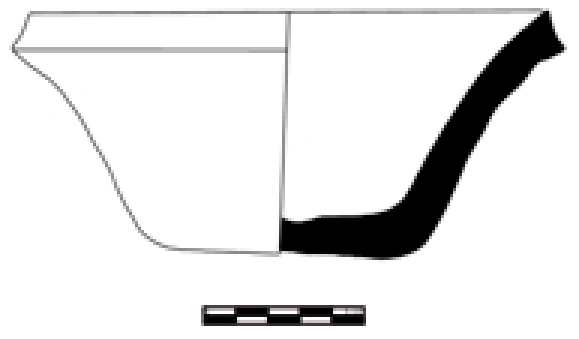 Chalcolithic Age Ceramic #1066