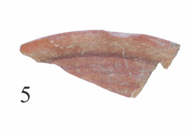 Roman Period Ceramic #2597