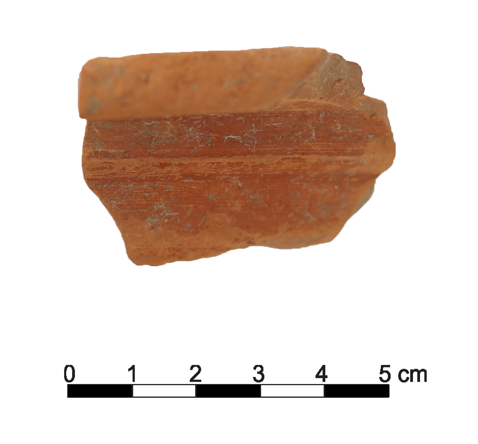 Roman Period Ceramic #2509