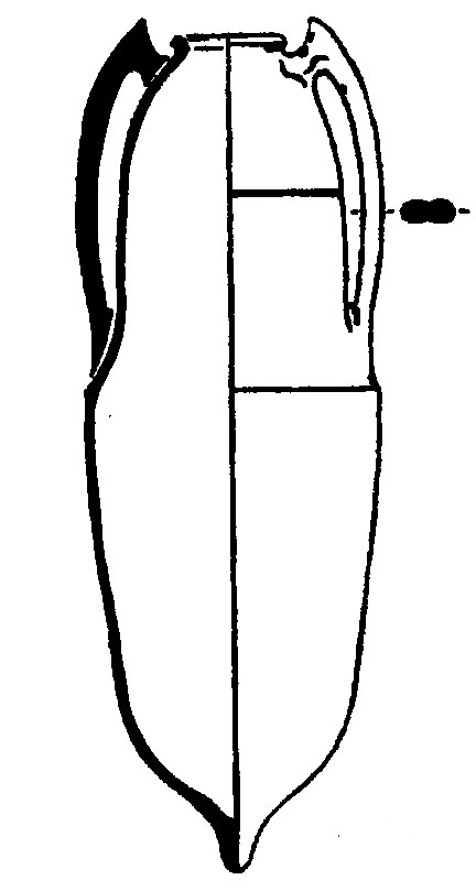 Roman Period Ceramic #1910 technical drawing