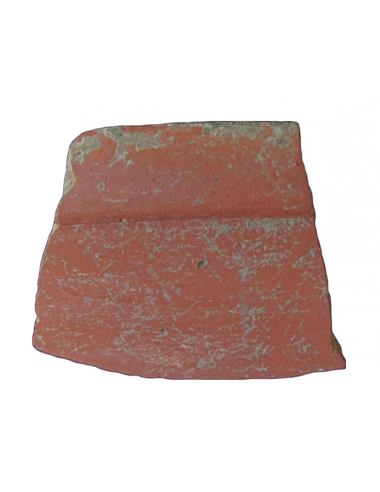 Roman Period Ceramic #729