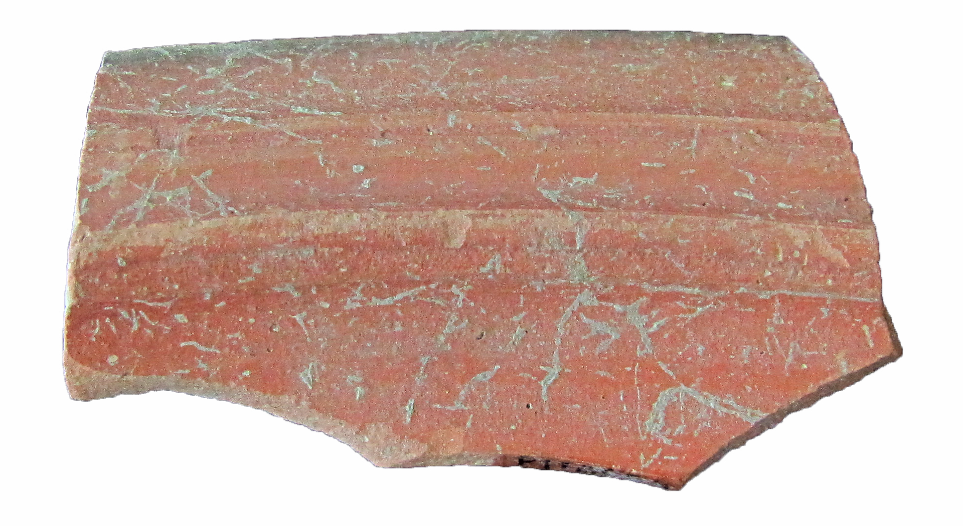 Roman Period Ceramic #744