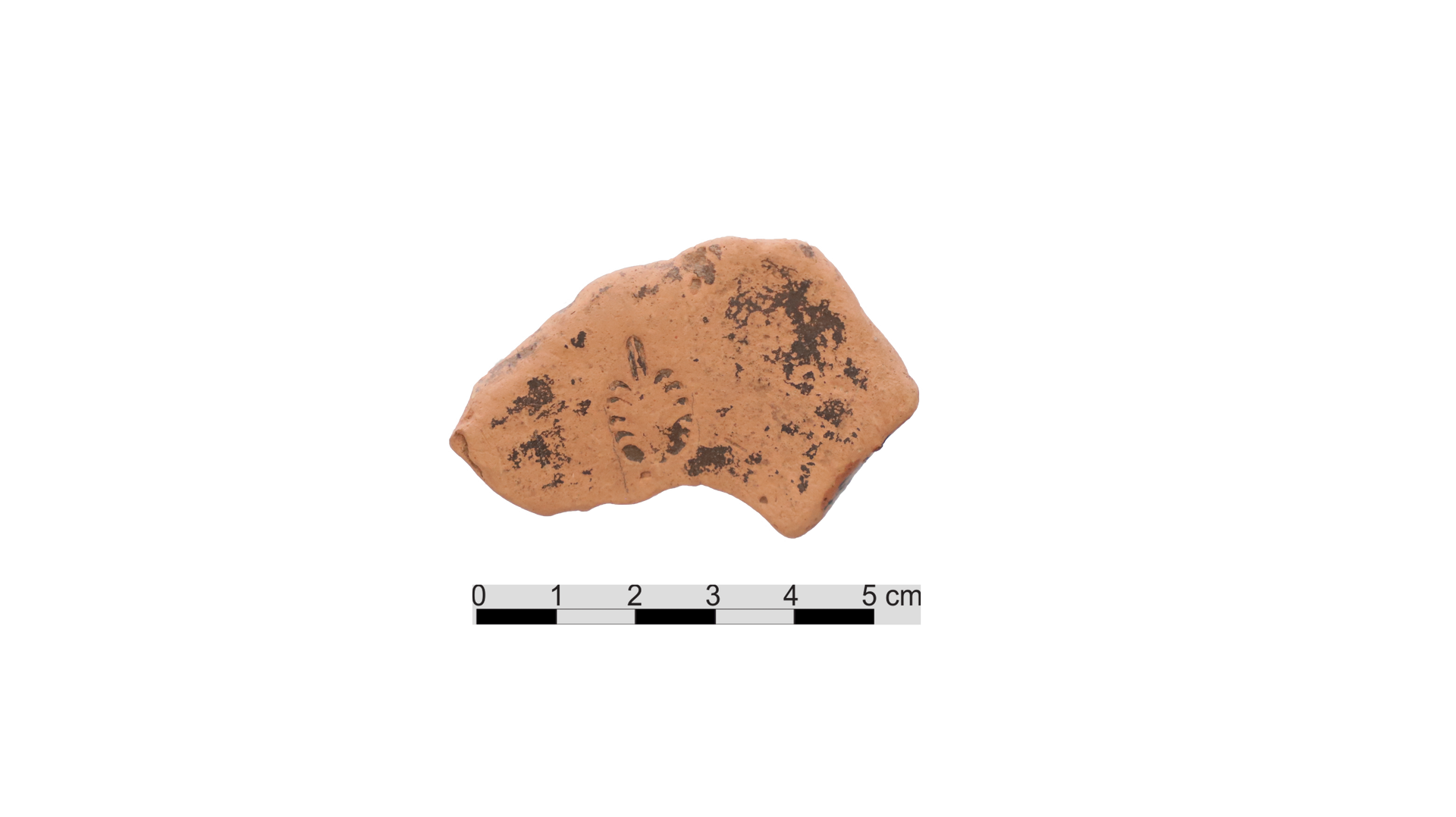 Hellenistic Period Ceramic #2907