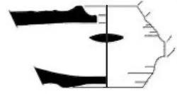 Hellenistic Period Ceramic #1957 technical drawing