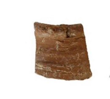Roman Period Ceramic #2617
