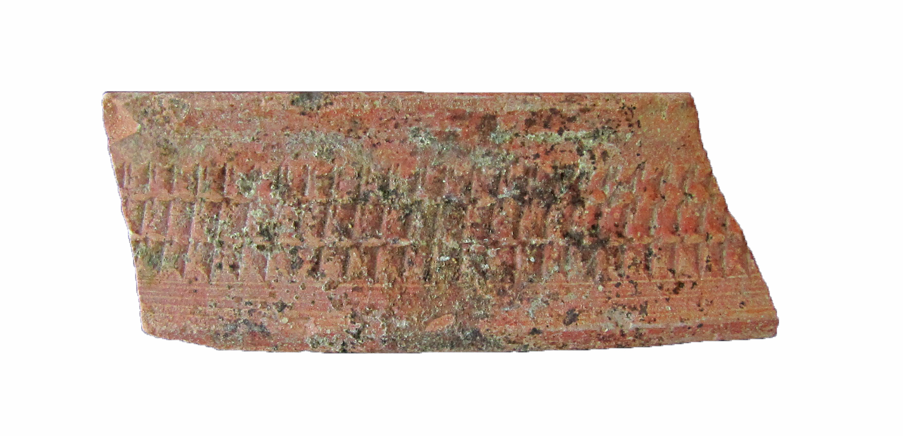 Roman Period Ceramic #736