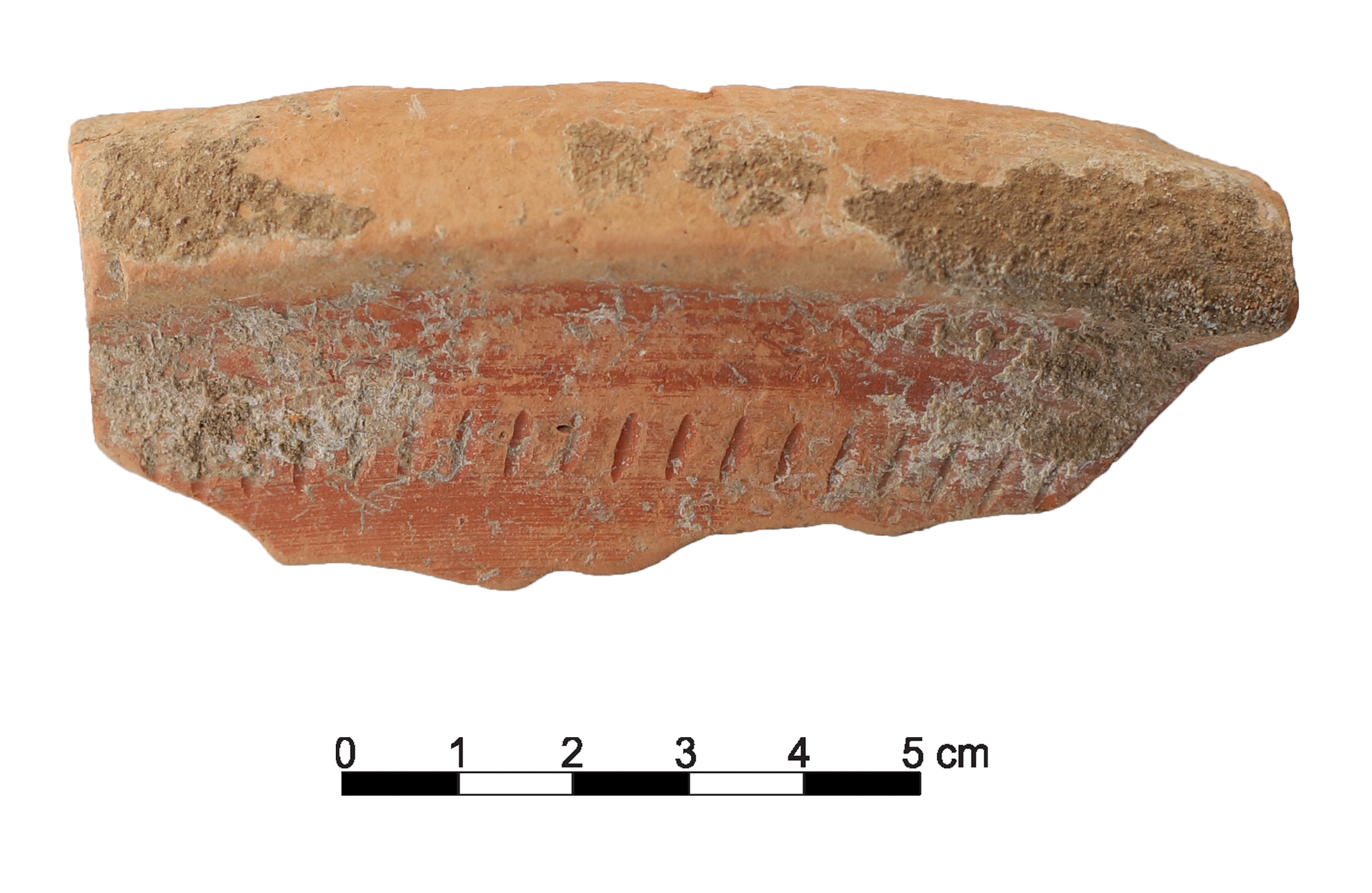 Roman Period Ceramic #2511