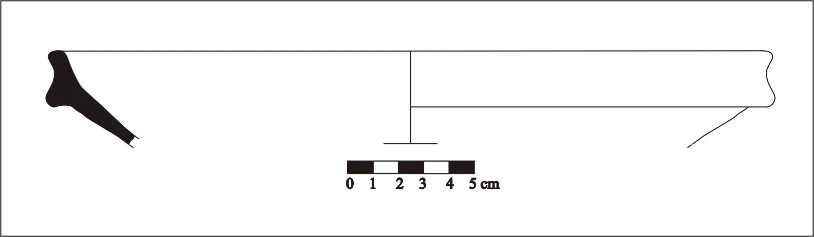 Roman Period Ceramic #565 technical drawing
