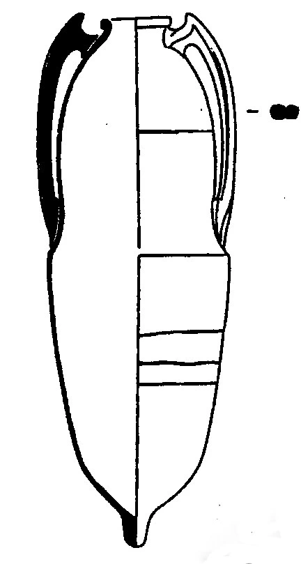 Roman Period Ceramic #1911 technical drawing