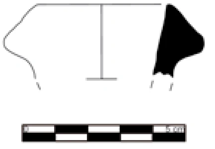 Chalcolithic Age Ceramic #1134 technical drawing