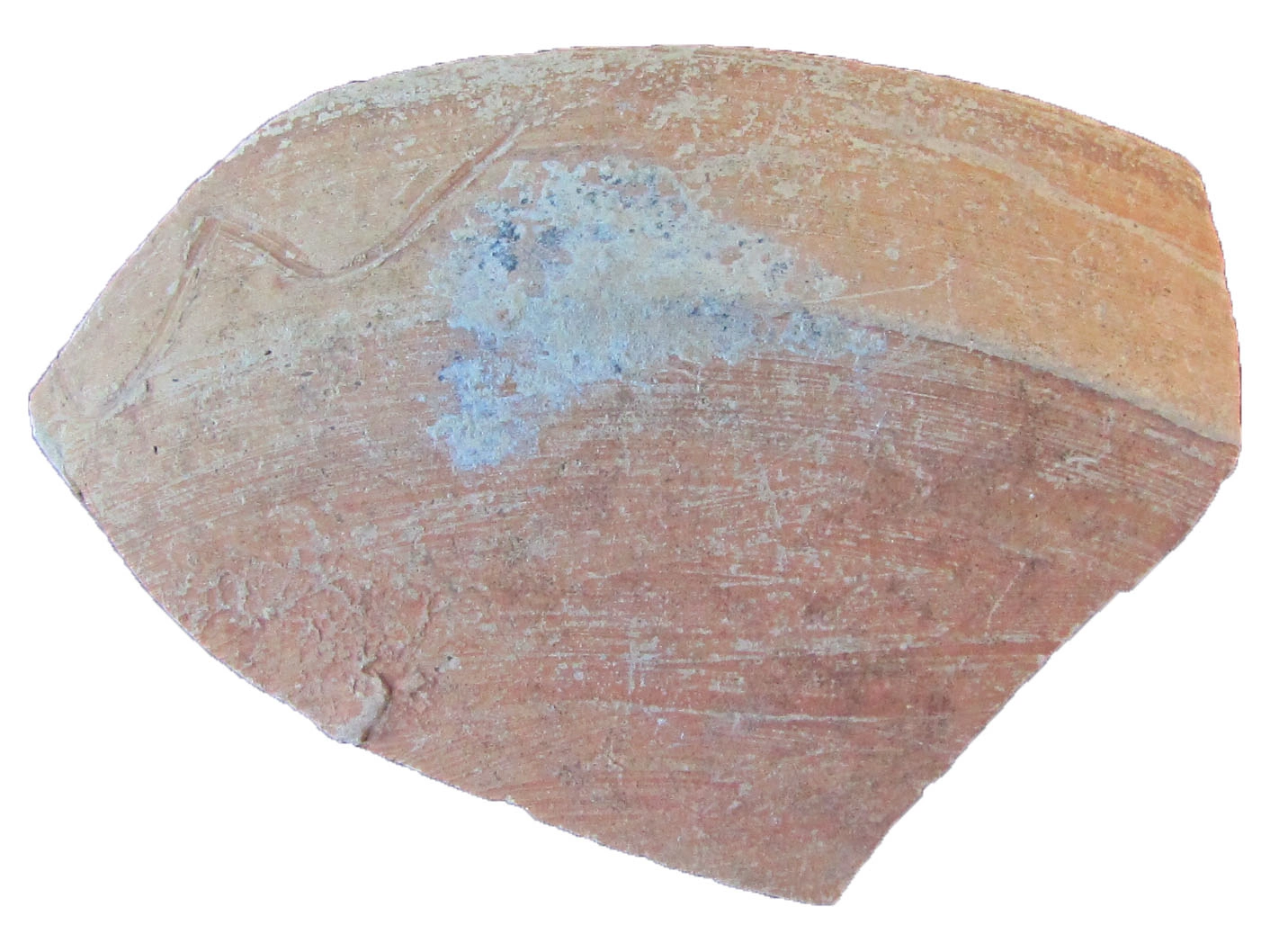 Roman Period Ceramic #628