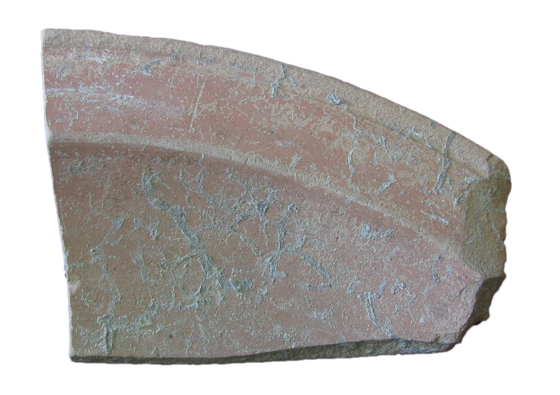 Roman Period Ceramic #623