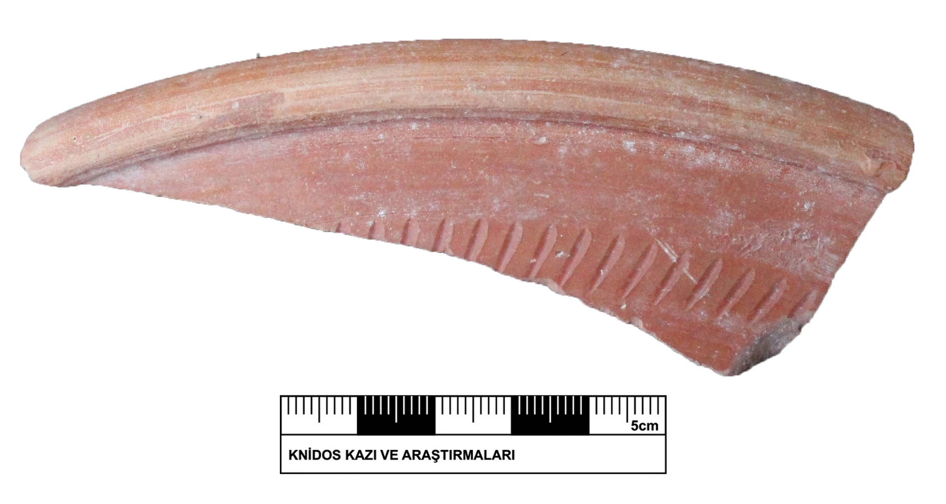 Roman Period Ceramic #2389