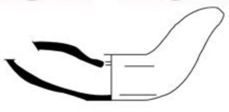 Roman Period Ceramic #1995 technical drawing