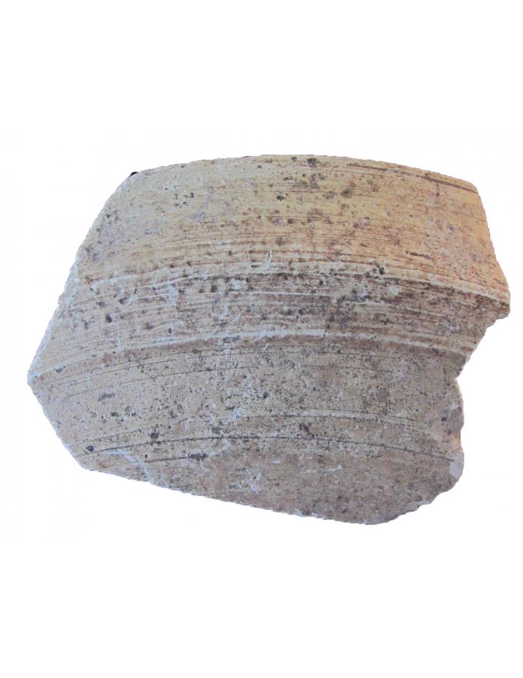 Roman Period Ceramic #631