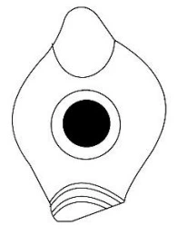 Roman Period Ceramic #1641 technical drawing