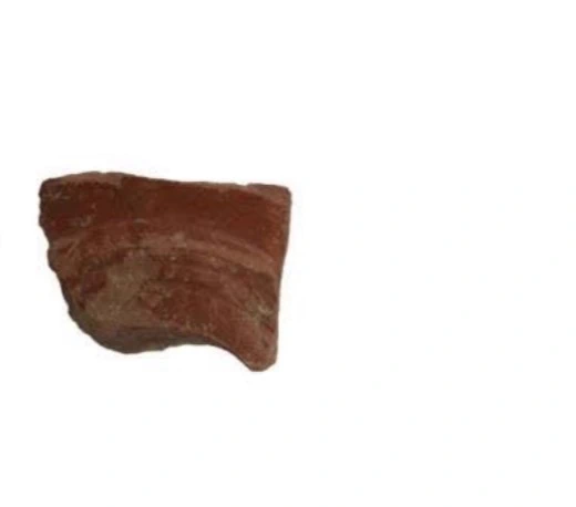 Roman Period Ceramic #2659